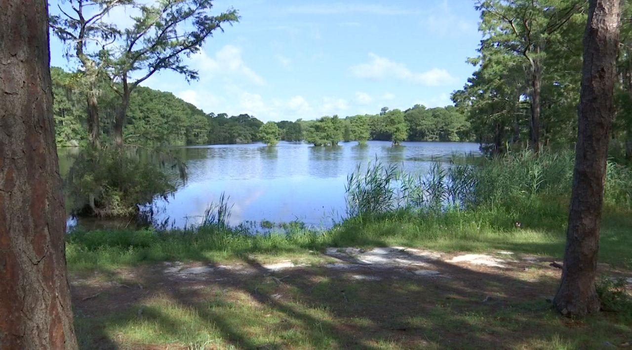 Wilmington Improving Greenfield Lake Water Quality with New Carp