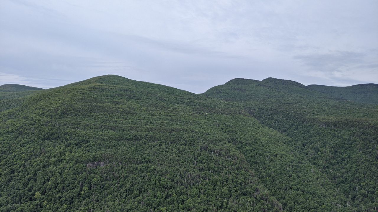 Catskills in Spring