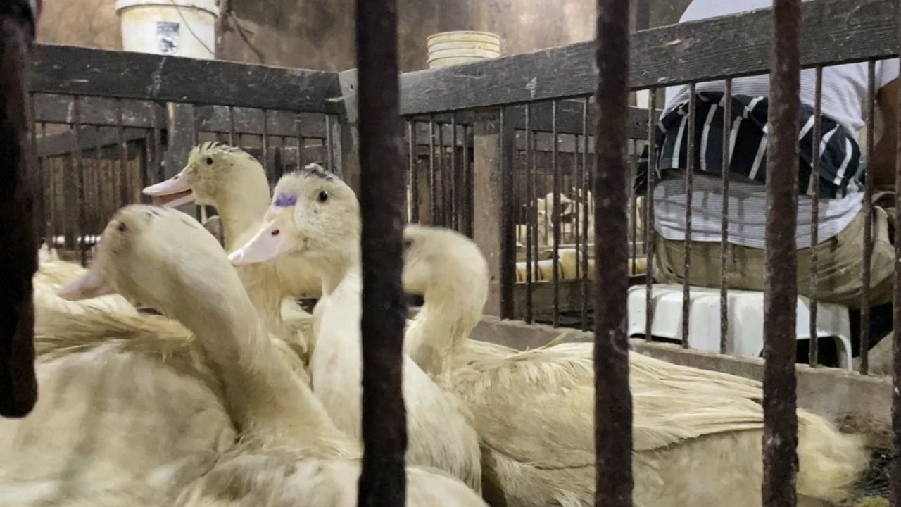 New York City legislation sends shockwaves into Hudson Valley farming