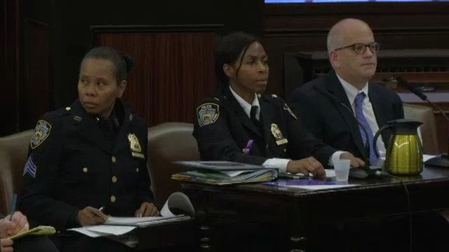 City Council Holds Hearing with NYPD's Domestic Violence Unit