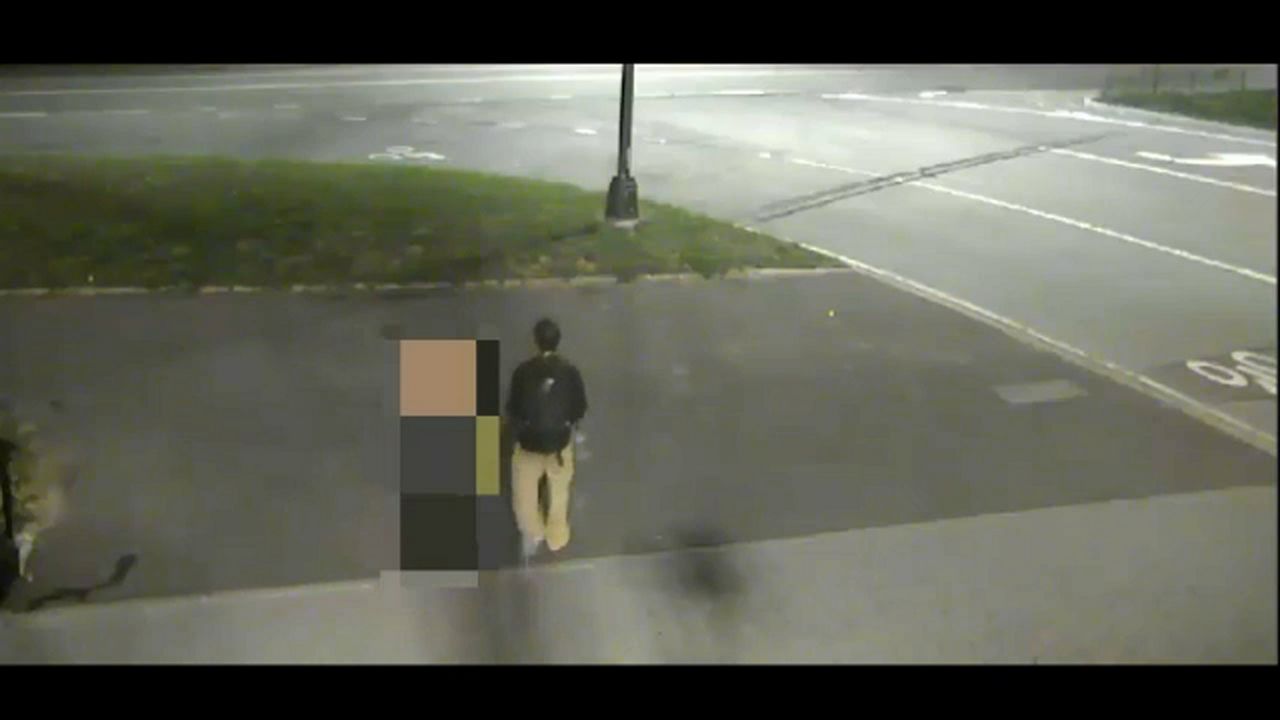 Police Seek Man They Say Raped, Robbed Woman At Knifepoint In Central Park