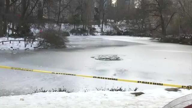 Officers Rescue Teen Who Fell Through Ice in Central Park