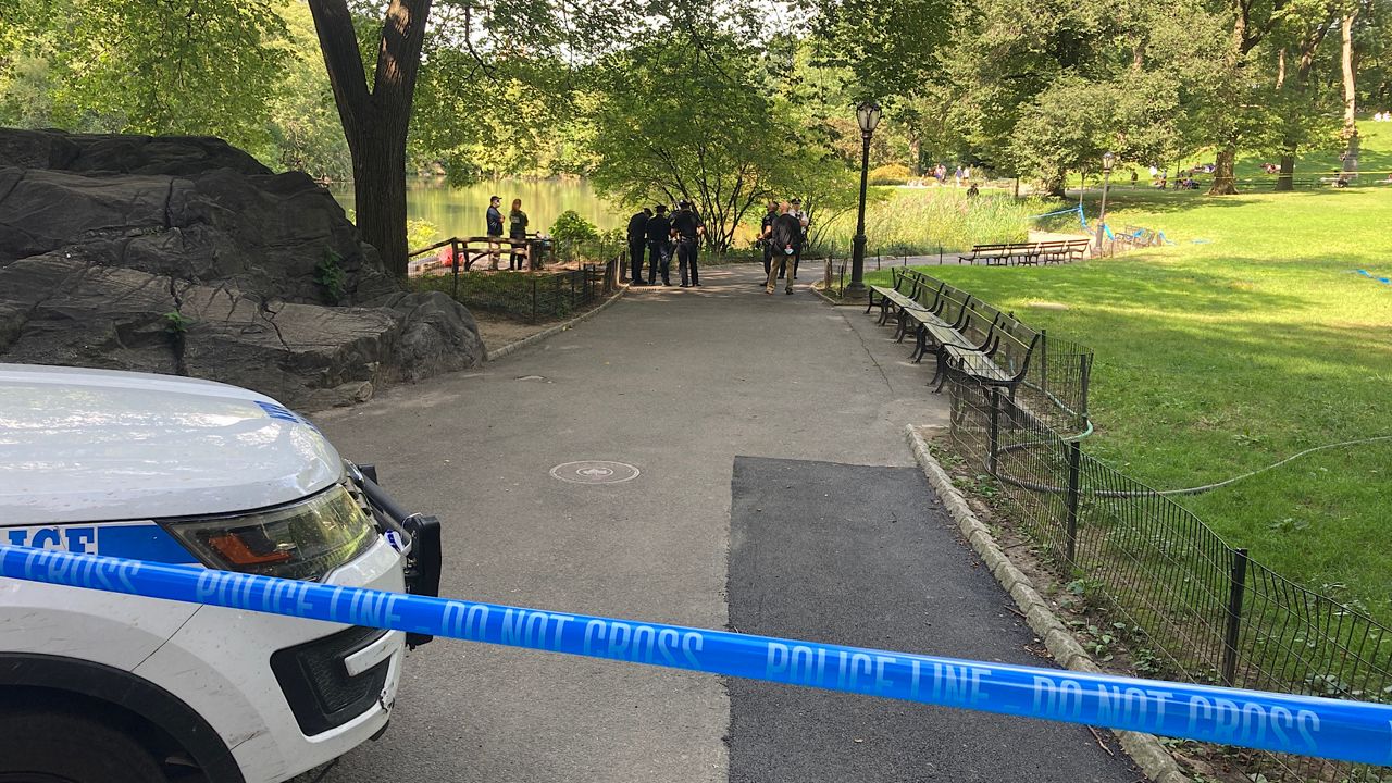 Central Park Crime Scene