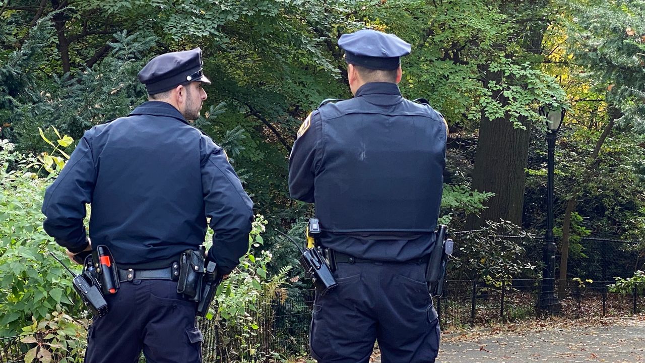 Suspect Arrested in Central Park Rape Case