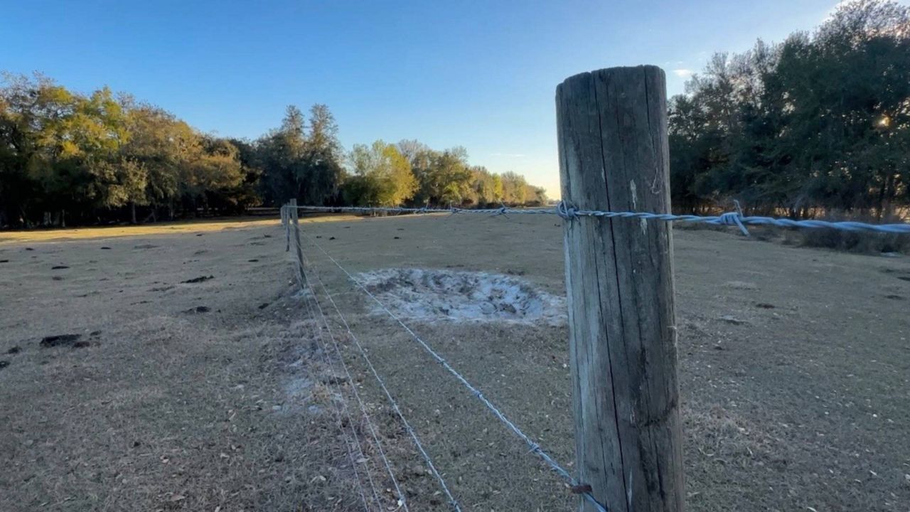 Rural and Family Lands Protection Program sees record number of applicants, farm owner speaks on application importance