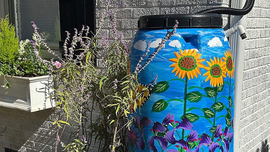 Rain barrels help Charlotte landscaper navigate drought, water restrictions