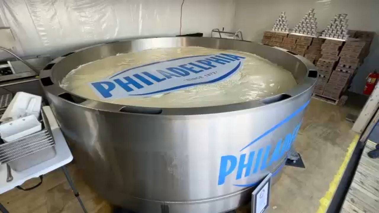 The 15,000 lb. cheesecake that was named the largest in the world by Guinness World Record at the Cream Cheese Festival in Lowville. (Spectrum News 1/Brian Dwyer)