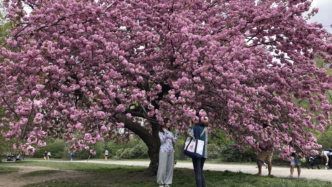 Things to do in New York City: April 18-19