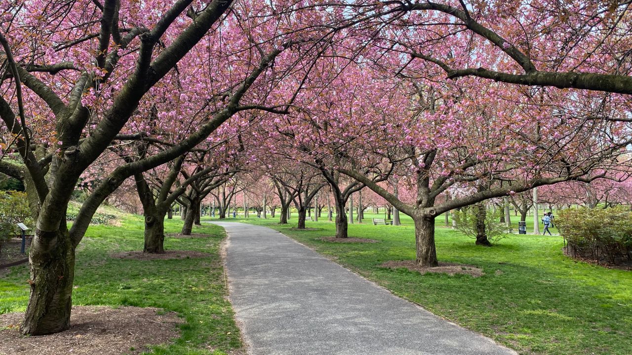 City park with beautiful trees. (Getty Images)