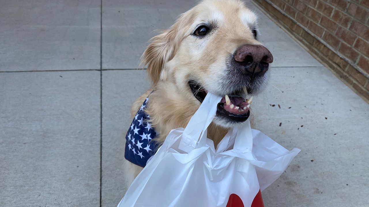 Video of Chapel Hill Dog Delivering ChickfilA Goes Viral