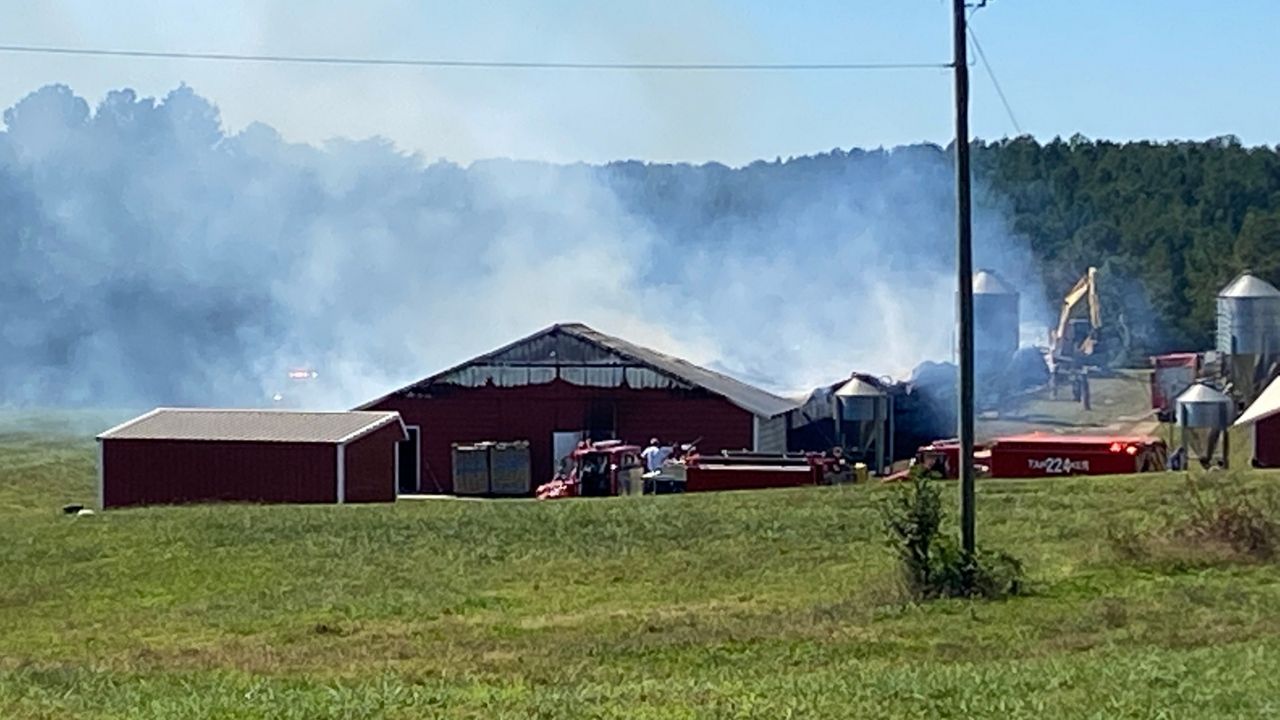 Chicken Farm Fire