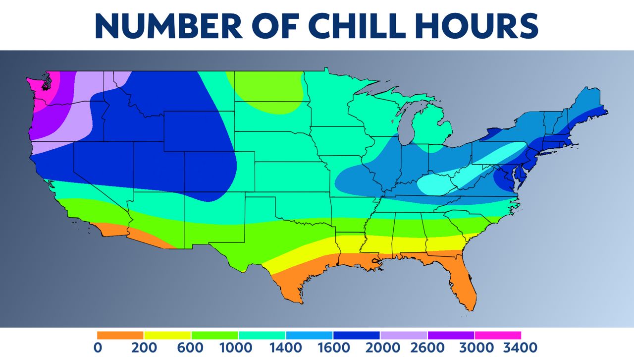 The mild winter has spring foliage coming out sooner