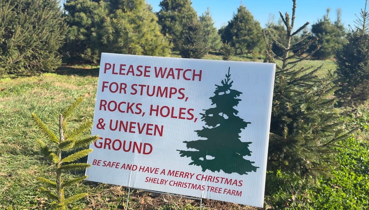 Cost of artificial Christmas trees impacted by tariffs