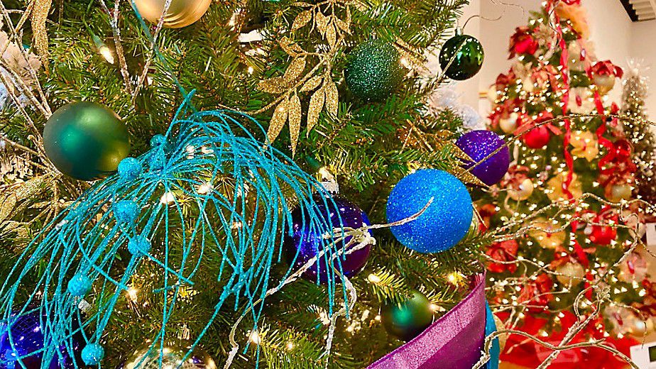 5 things to know about Festival of Trees