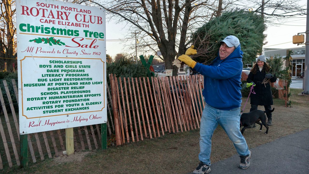 Jim Welch carries a Christmas tree to his truck at a Rotary Club tree sale, Wednesday, Dec. 14, 2022, in South Portland, Maine. (AP Photo/Robert F. Bukaty)