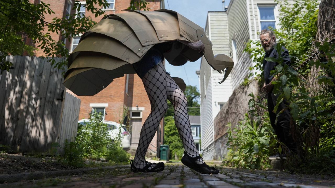 Renee Martin performs her cicada striptease in fishnet stockings and a cicada nymph puppet costume in a Cincinnati ally on Tuesday, June 4, 2024. The periodical cicadas that have blanketed parts of the American Midwest this spring are strange creatures, but they have nothing on some of their superfans. (AP Photo/Carolyn Kaster)