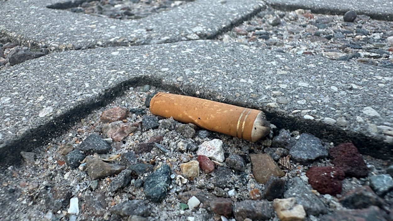 bring cigarettes Complying with Tobacco Transportation Laws TD Garden Policies | TD