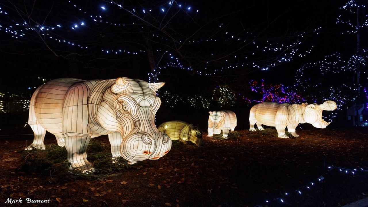 Cincinnati Zoo and PNC Festival of Lights at the Botanical Garden