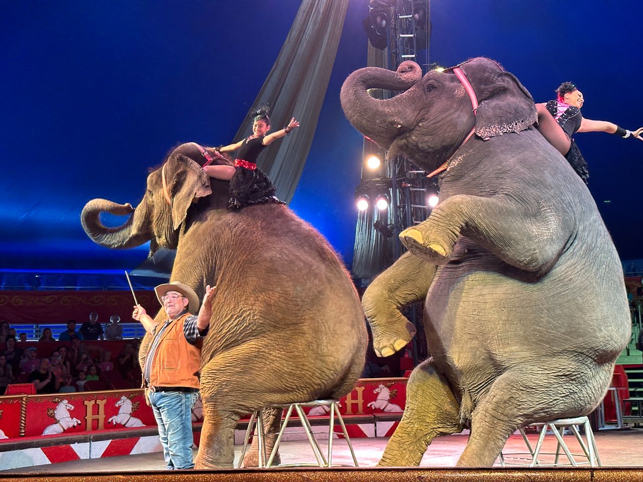 Circus World ending elephant performances