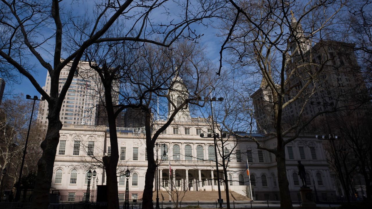 Races For Borough President Attract City and State Lawmakers - Vimarsana News