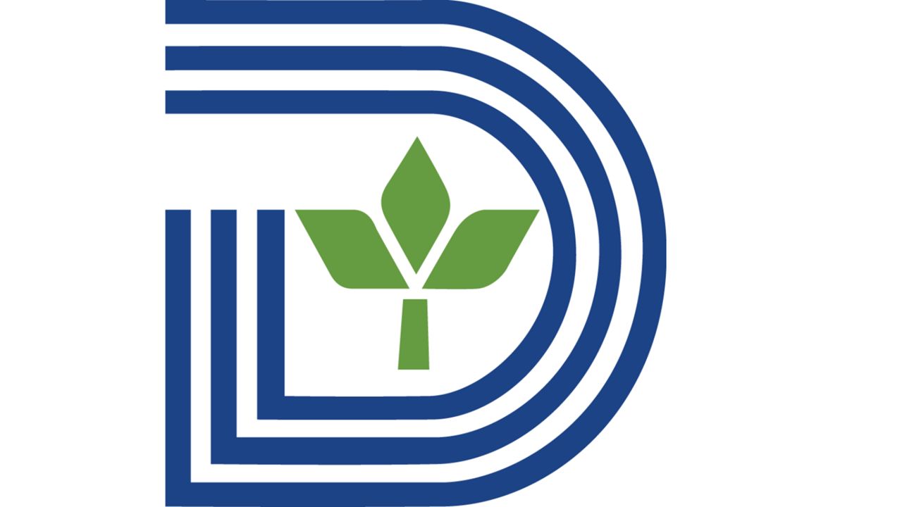 Dallas logo and symbol, meaning, history, PNG