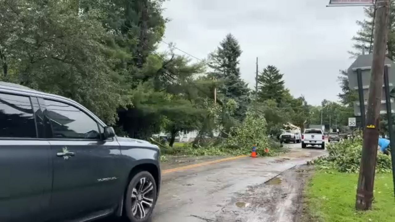 Storm damage 