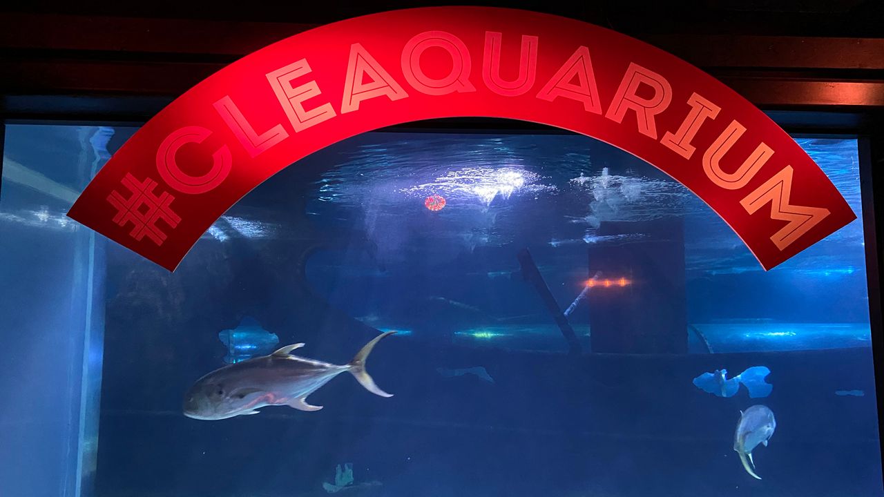 Greater Cleveland Aquarium Reopens to the Public