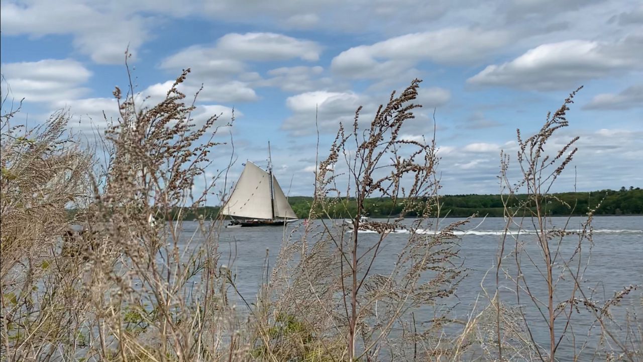 clearwater sail 51