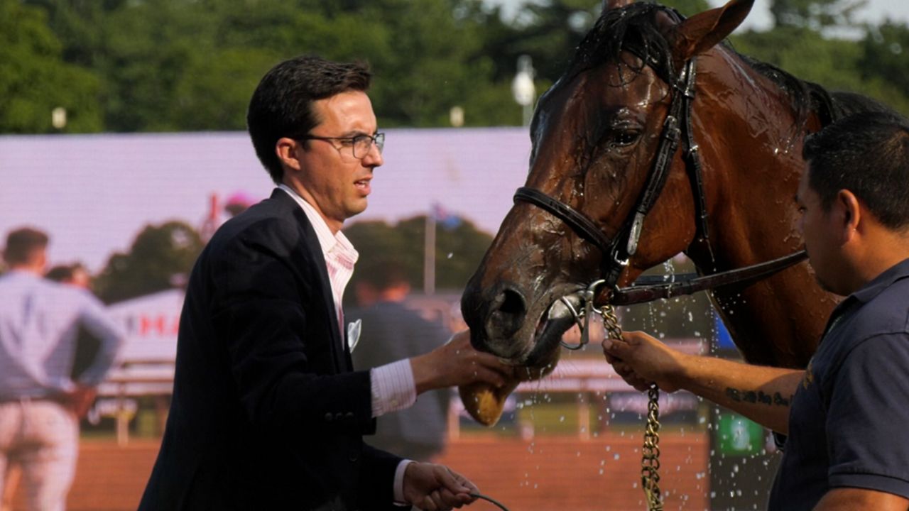 Horse training is a family business for the Clements