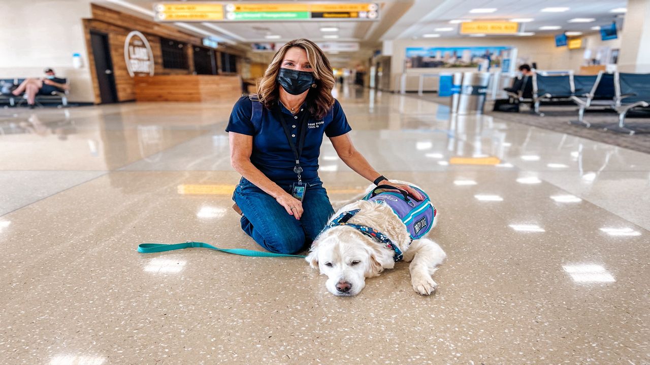 A dog and its handler in an airport