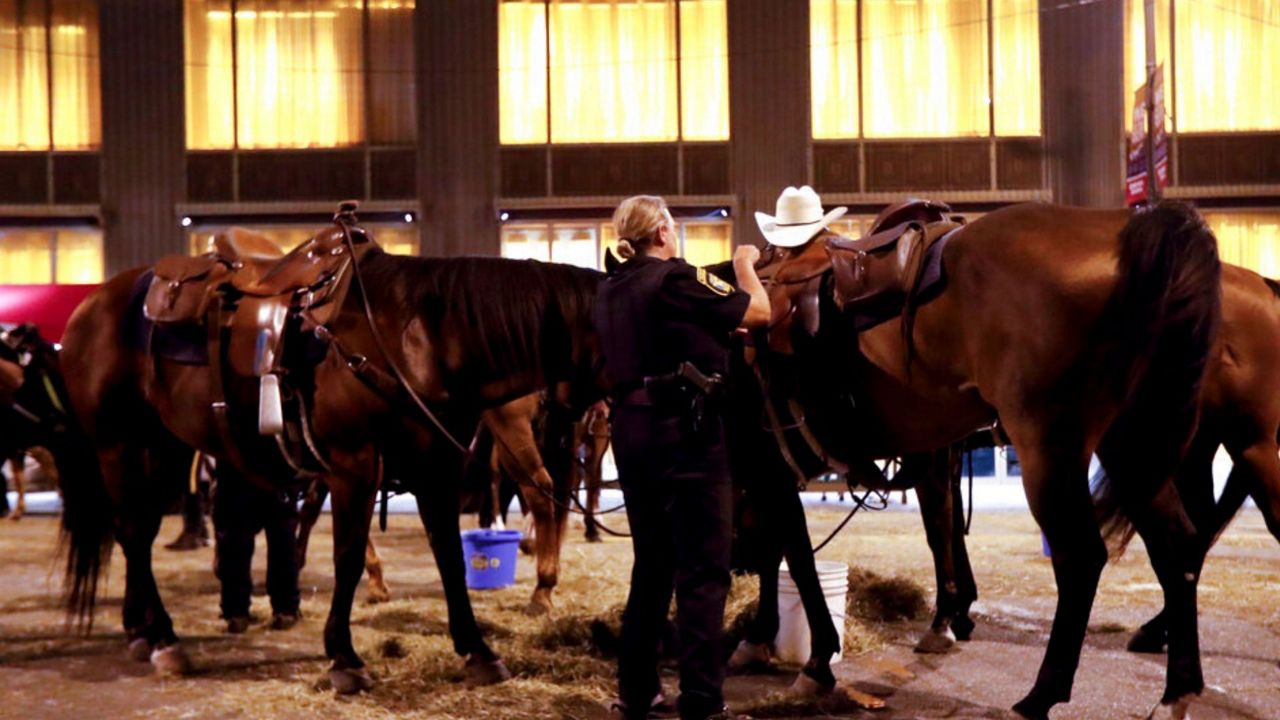 A police officer feeds their horses in the street near Public Square on Thursday, July 21, 2016, in Cleveland, during the final day of the Republican convention. (AP Photo/John Minchillo)