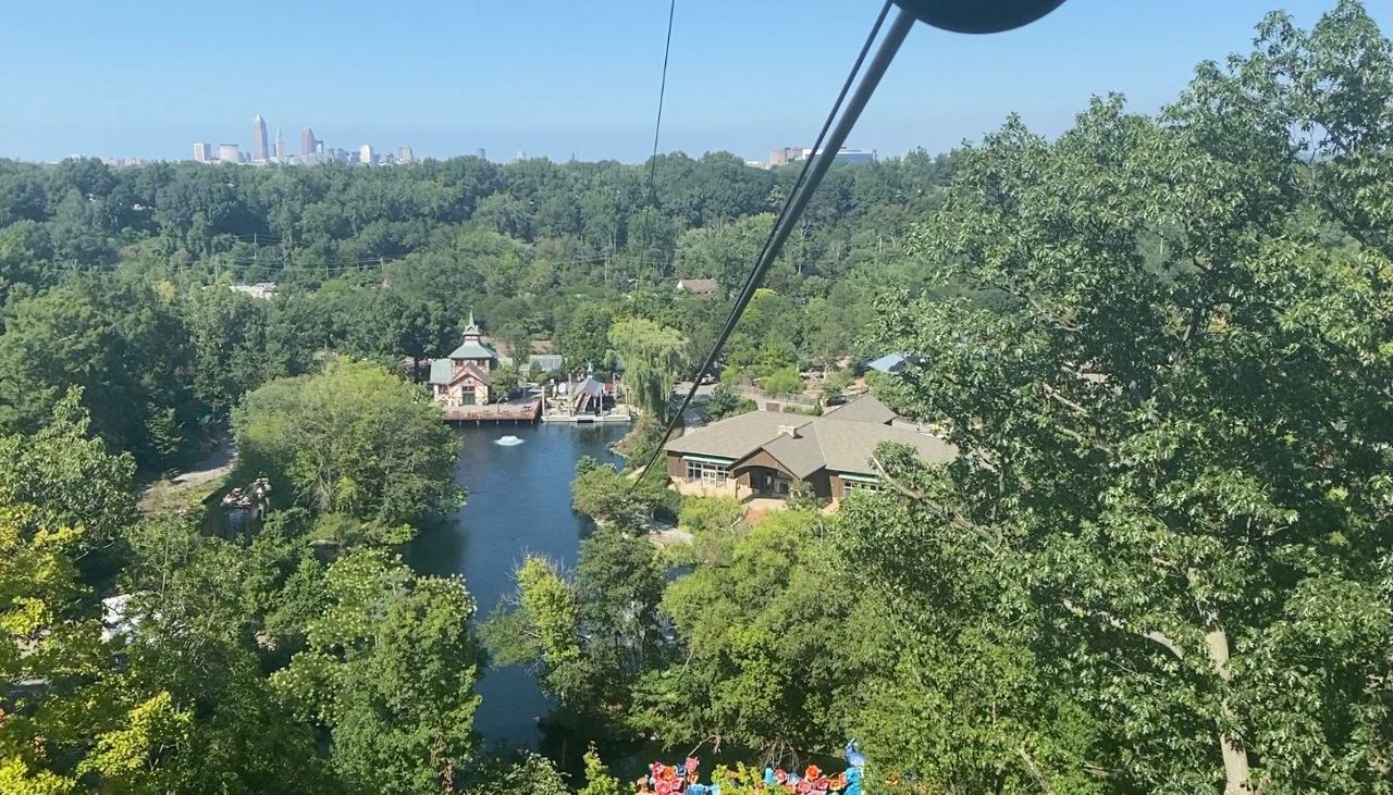 Eagle Zip Adventure gives you a bird'seye view of the zoo