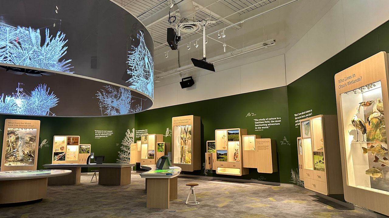 The new Ames Family Curiosity Center invites guests to be scientists and take a closer look at specimens under a microscope.