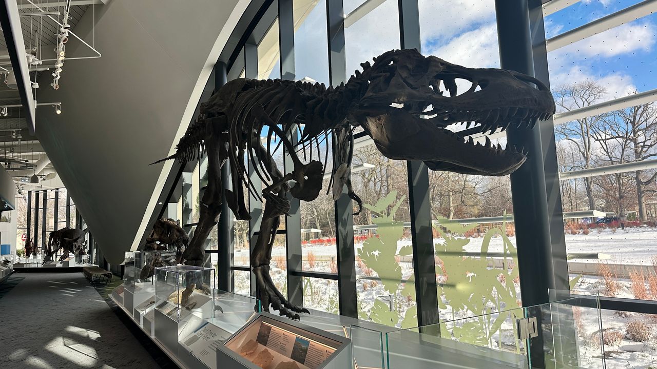 Expansive windows shine natural light inside the museum as both a sustainability feature and response to public comments about museums typically being too dark.