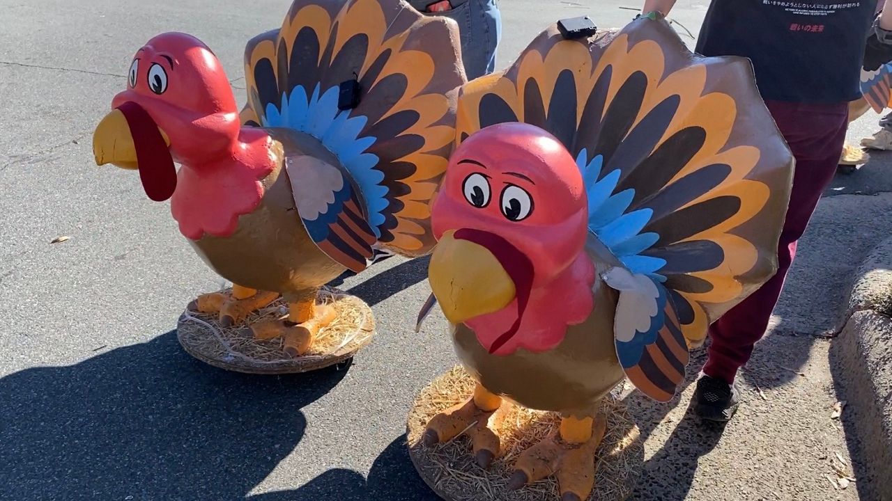 Charlotte Knights donating turkeys