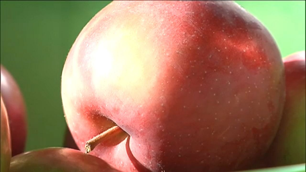 cny apple 