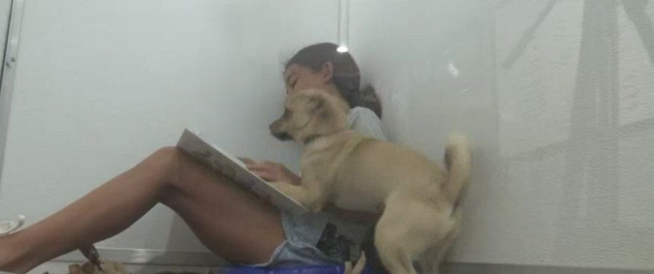 spca jefferson county