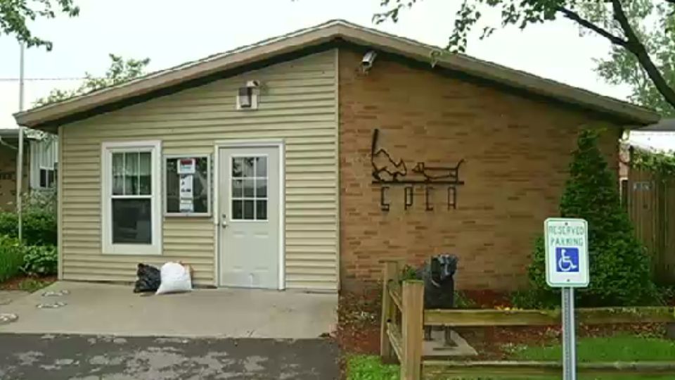 CNY SPCA investigates animal hoarding case in Camillus