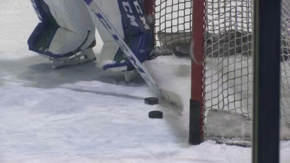 hockey goal