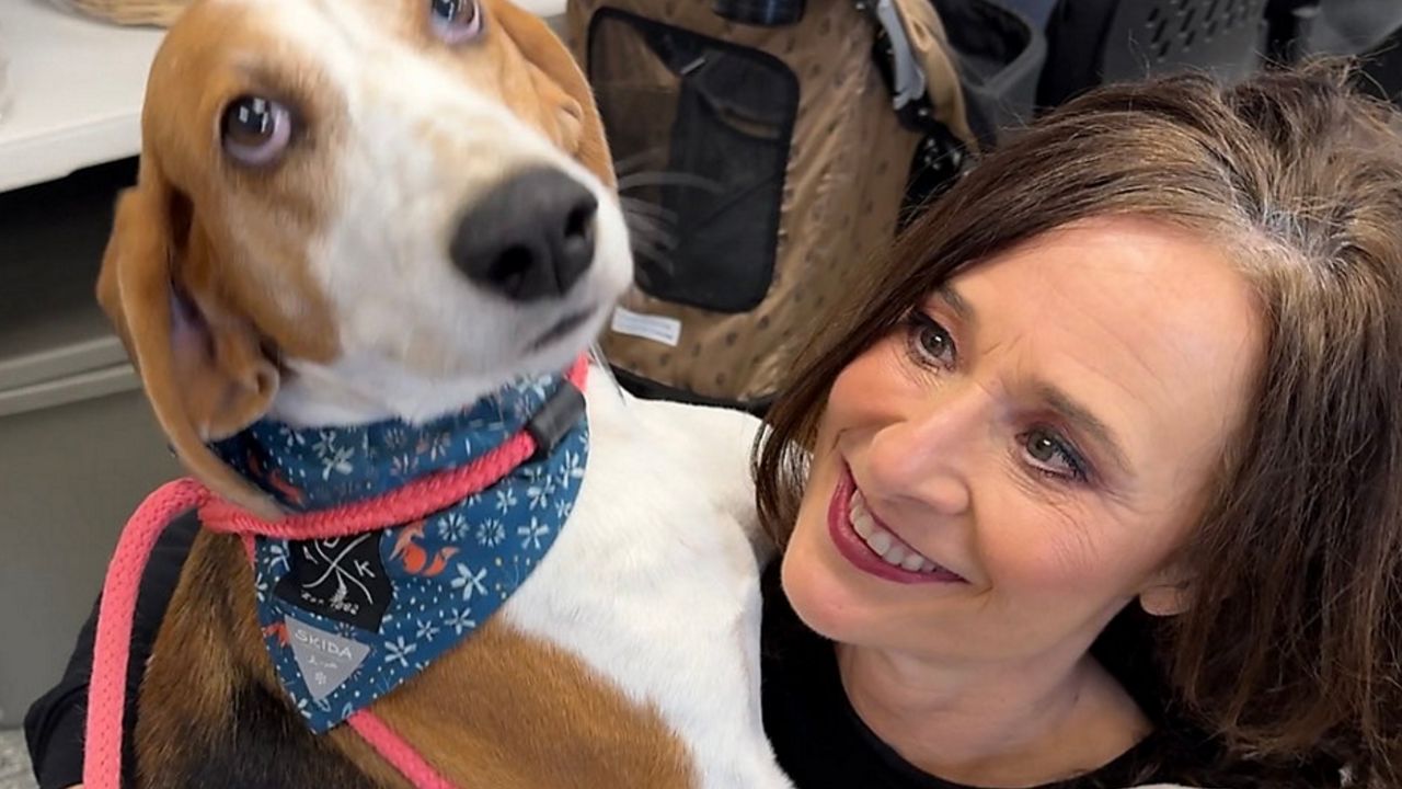 As retail pet ban goes into effect, New York stores adjust