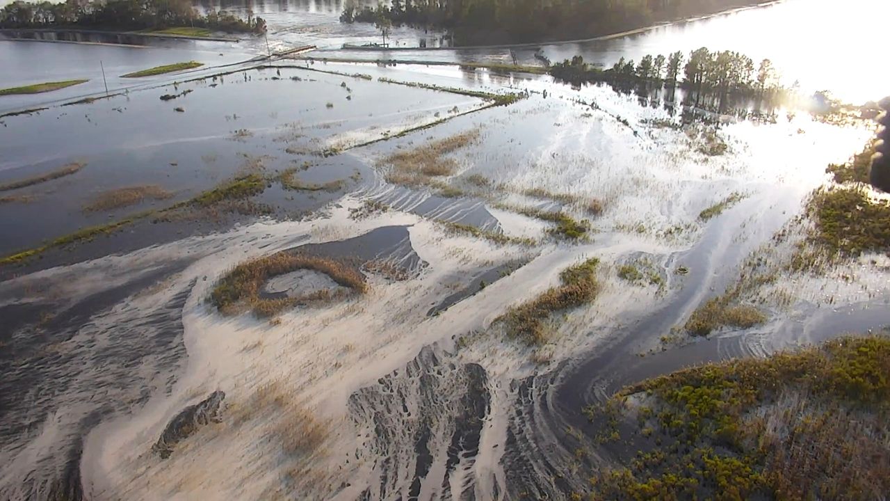 A new study found coal ash is more widespread and persistent in North Carolina lakes than previously thought. 