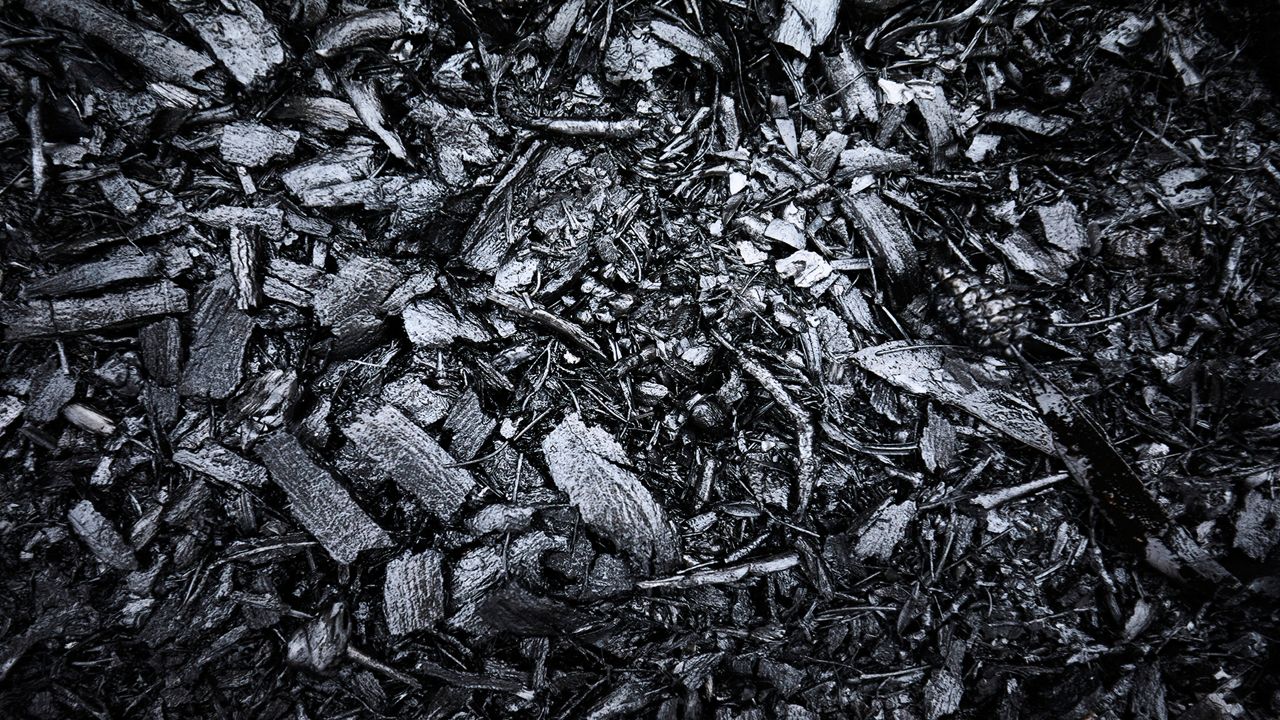 Close up of coal (Getty Images/Andrew Merry)