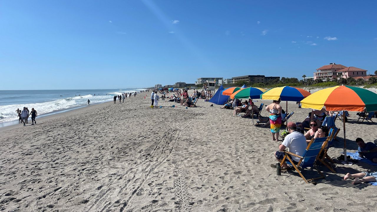 Space Coast officials prepare for massive seaweed blob