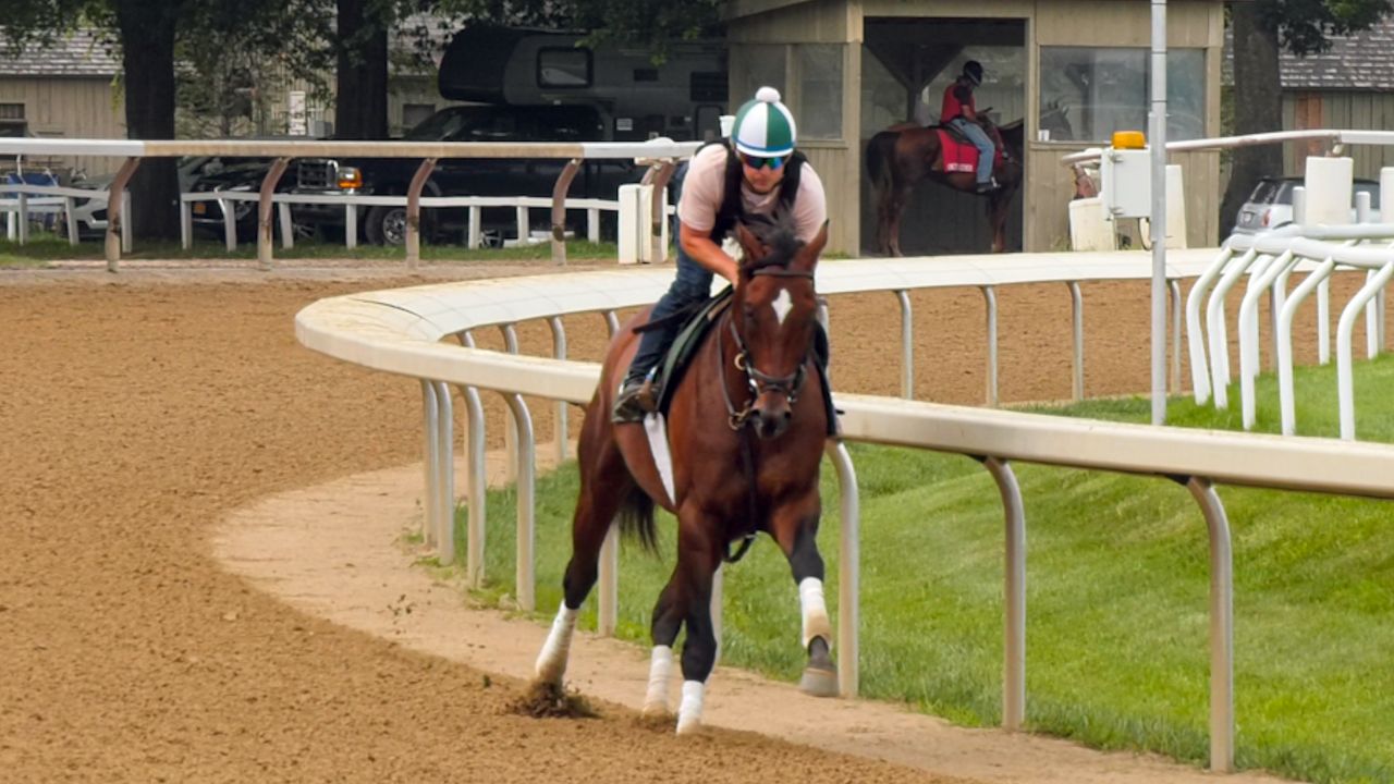 Cody's Wish brings success, heartfelt story to Saratoga