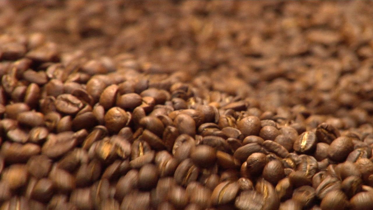 Madison coffee roaster ranked as one of nation's best
