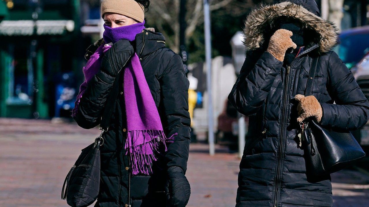 A woman in winter clothes walks in the park. Takes a selfie. There