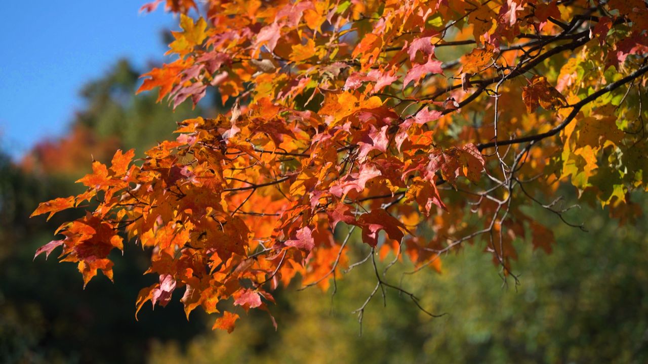 The best time to see fall colors in Ohio