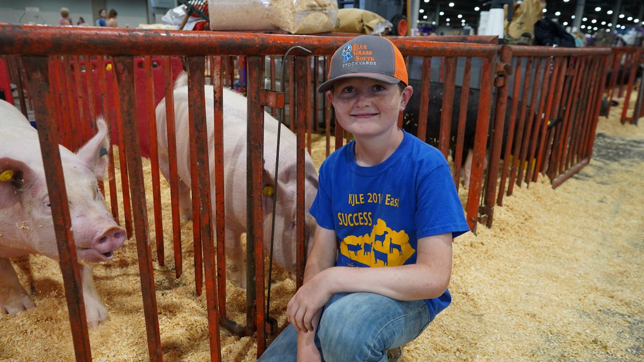 Colton Coffmann poses with his pigs at the Kentucky State Fair. (Spectrum News 1/Jonathon Gregg)
