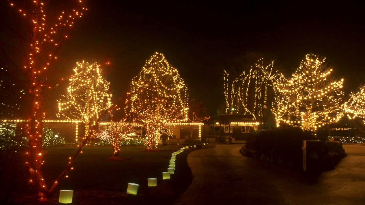 Wildlights Returns To Columbus Zoo