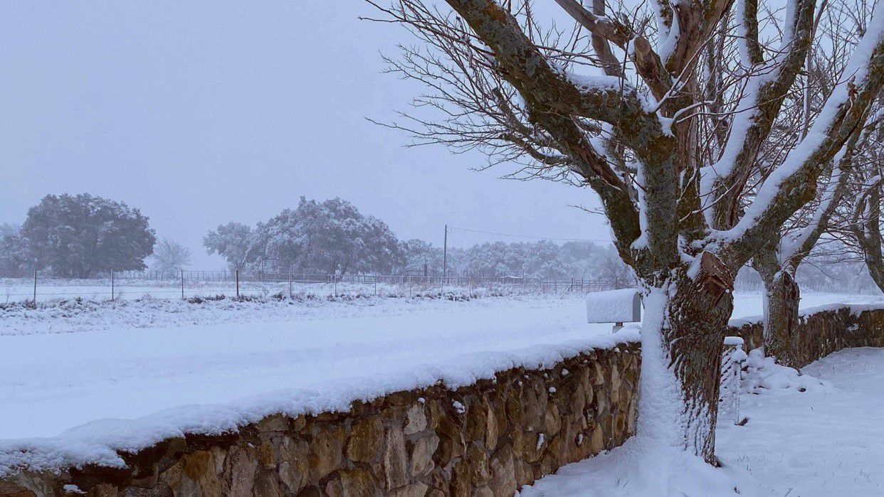 Photo of snow in a neighborhood north of Austin, Texas (Dan Robertson/Spectrum News)